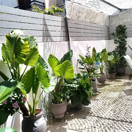 Apartment Luxury Seafront House Nearby Delphi *